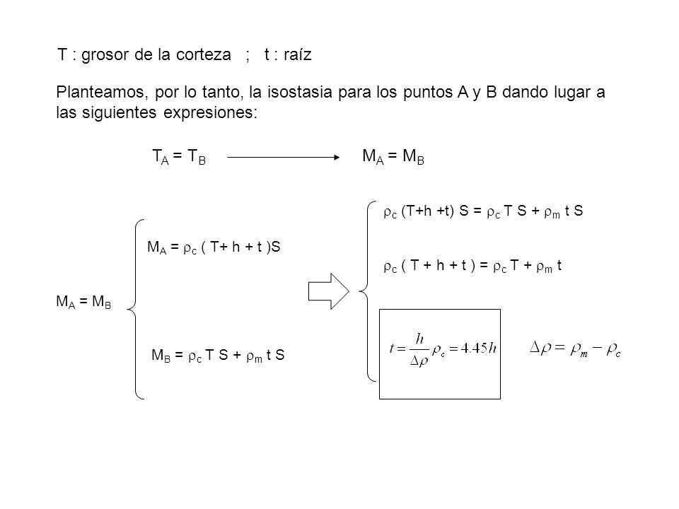 T : grosor de la corteza ; t : raíz