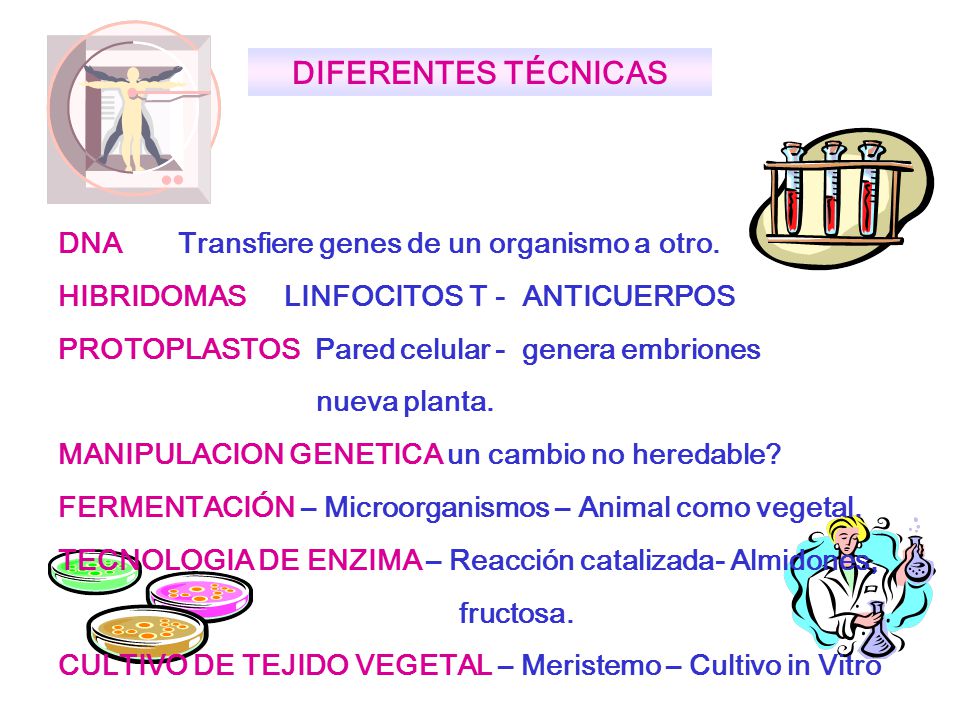 DIFERENTES TÉCNICAS DNA Transfiere genes de un organismo a otro.