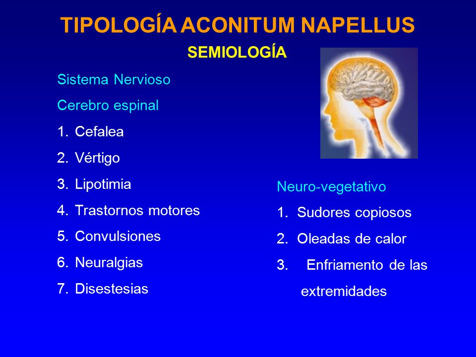 TIPOLOGÍA ACONITUM NAPELLUS