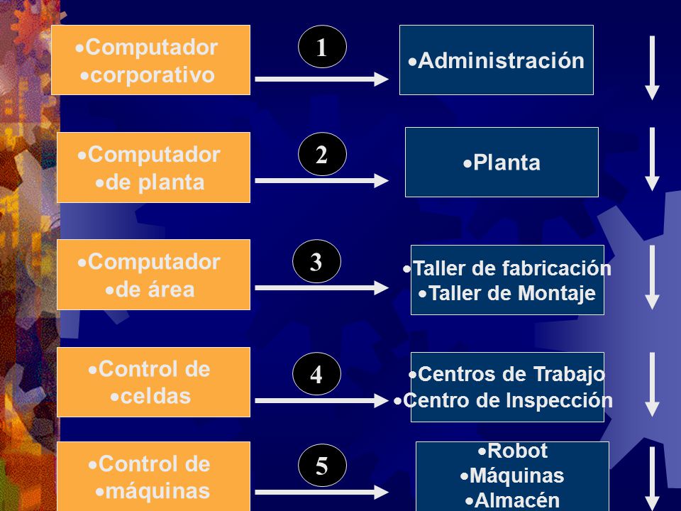 Computador Administración corporativo Planta de planta