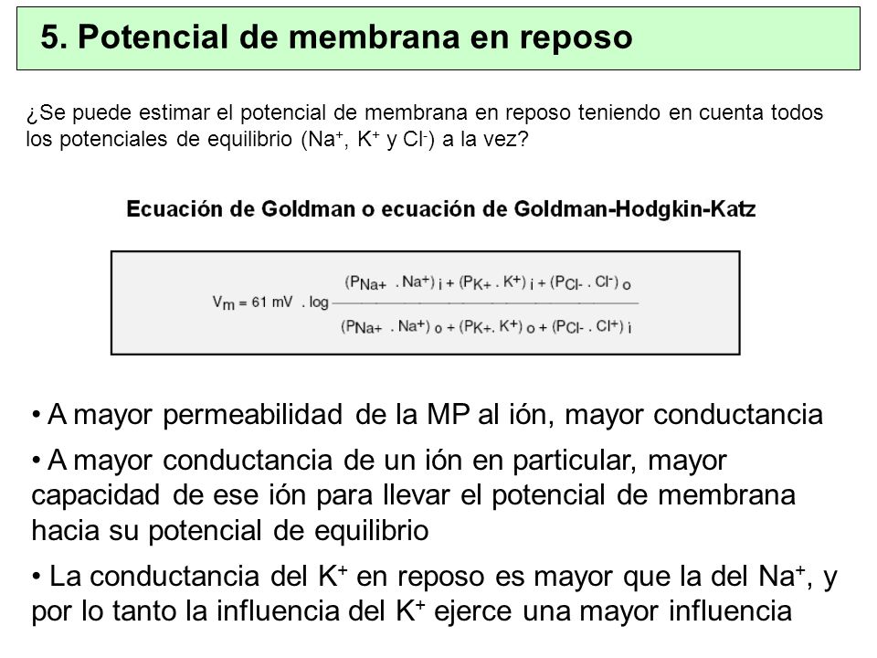 5. Potencial de membrana en reposo