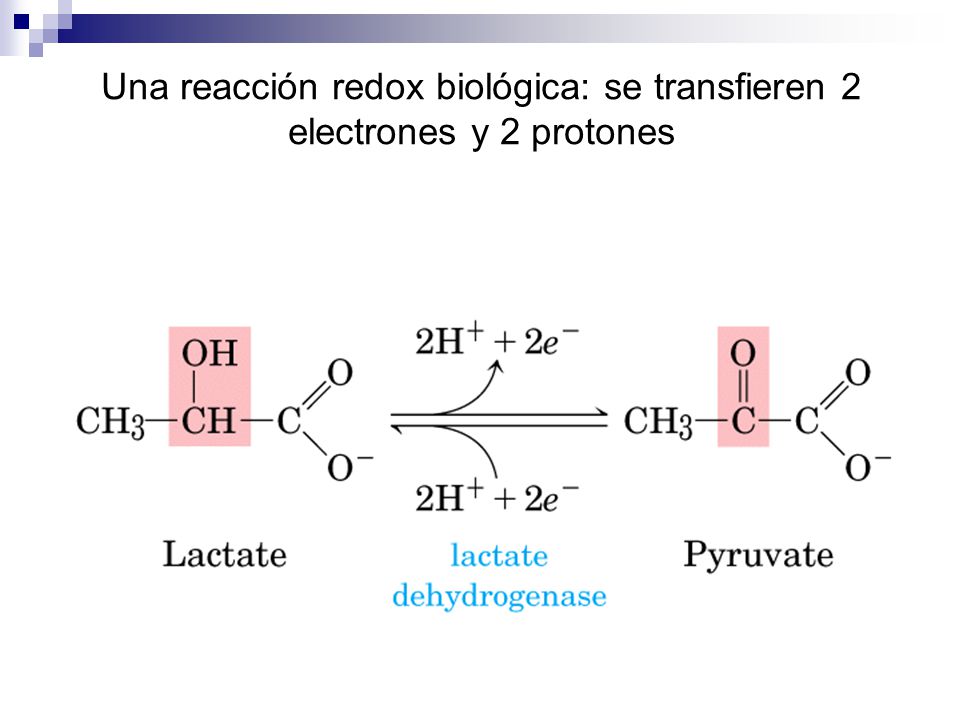 Una reacción redox biológica: se transfieren 2 electrones y 2 protones