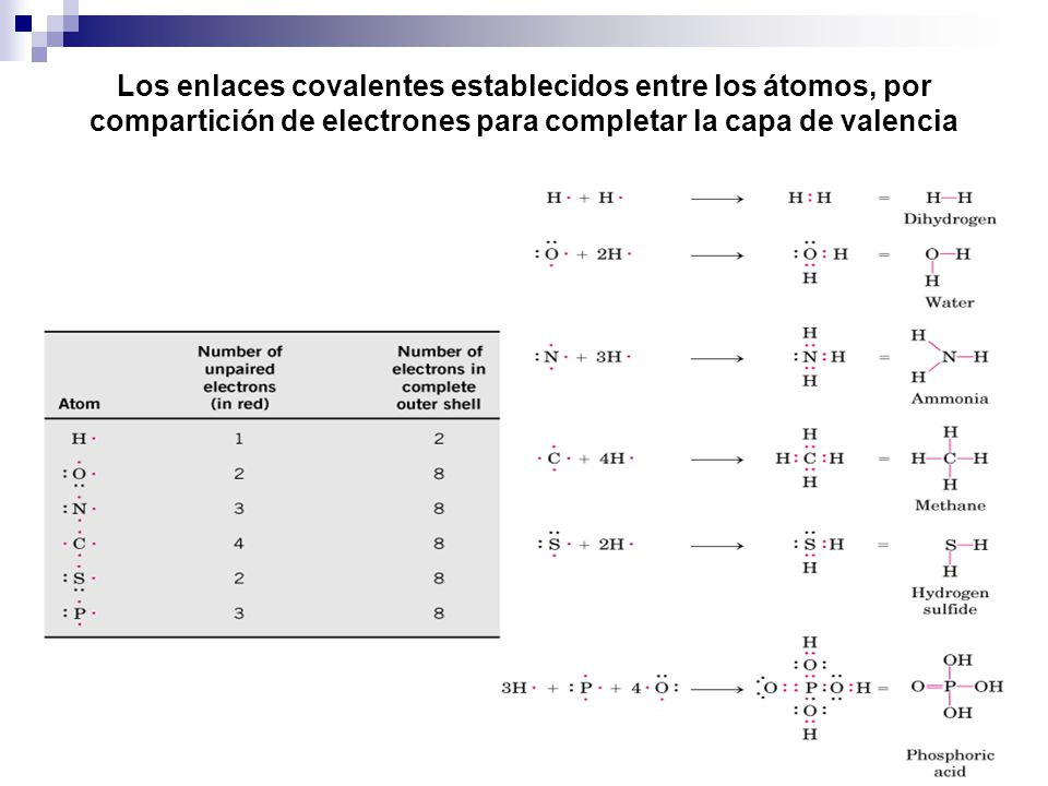 Los enlaces covalentes establecidos entre los átomos, por compartición de electrones para completar la capa de valencia