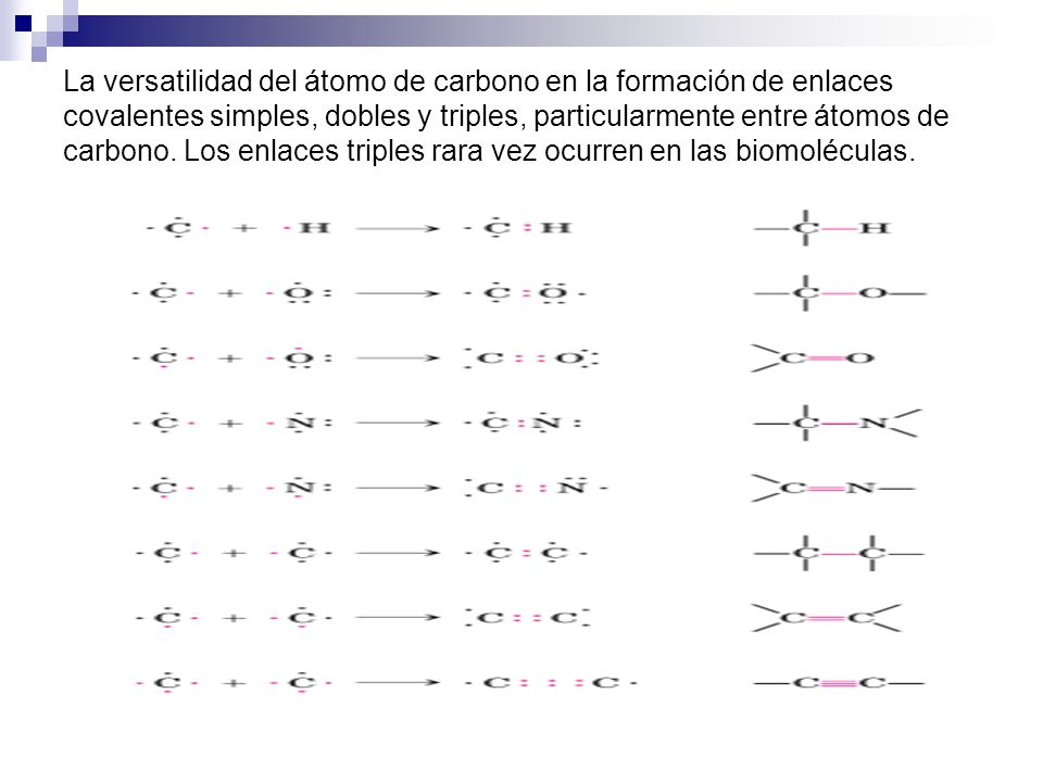 La versatilidad del átomo de carbono en la formación de enlaces covalentes simples, dobles y triples, particularmente entre átomos de carbono.