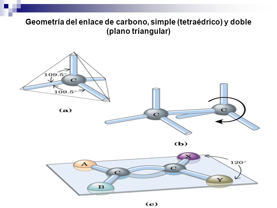 Geometría del enlace de carbono, simple (tetraédrico) y doble (plano triangular)