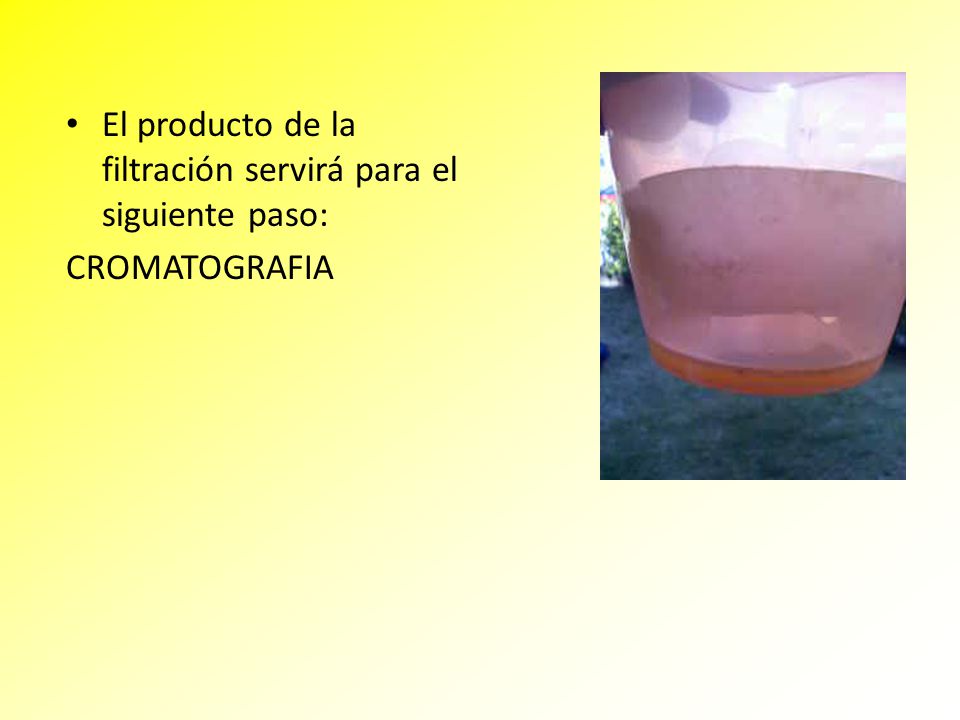 El producto de la filtración servirá para el siguiente paso: