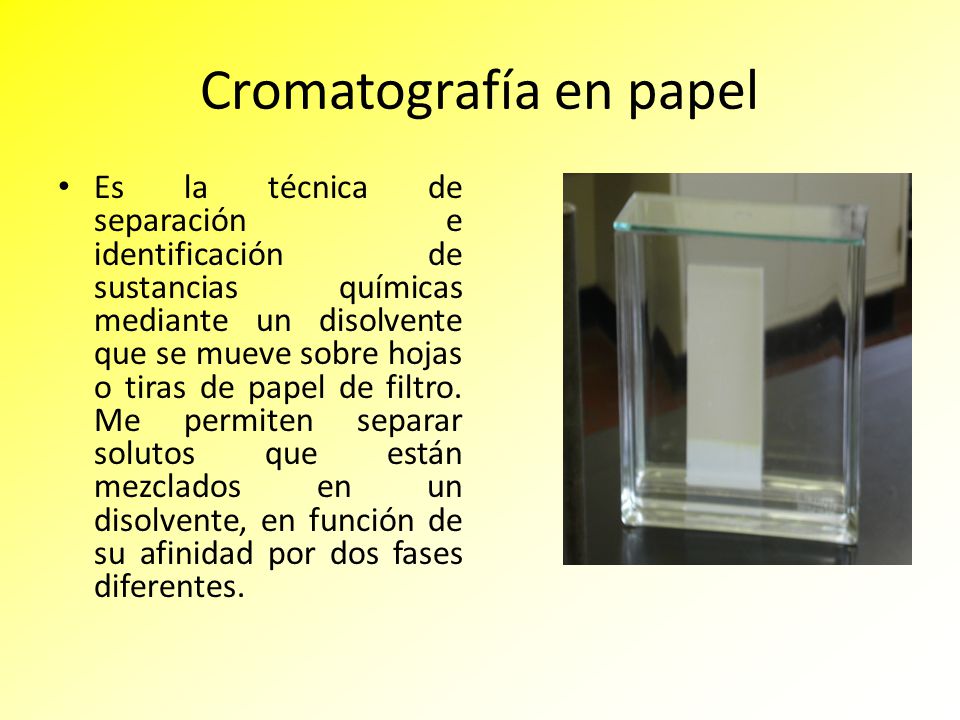 Cromatografía en papel