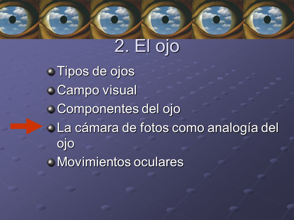 2. El ojo Tipos de ojos Campo visual Componentes del ojo