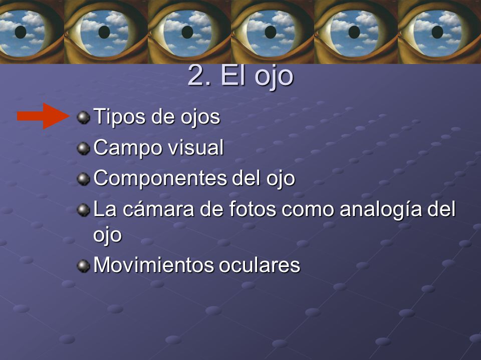 2. El ojo Tipos de ojos Campo visual Componentes del ojo