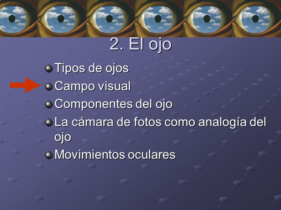 2. El ojo Tipos de ojos Campo visual Componentes del ojo
