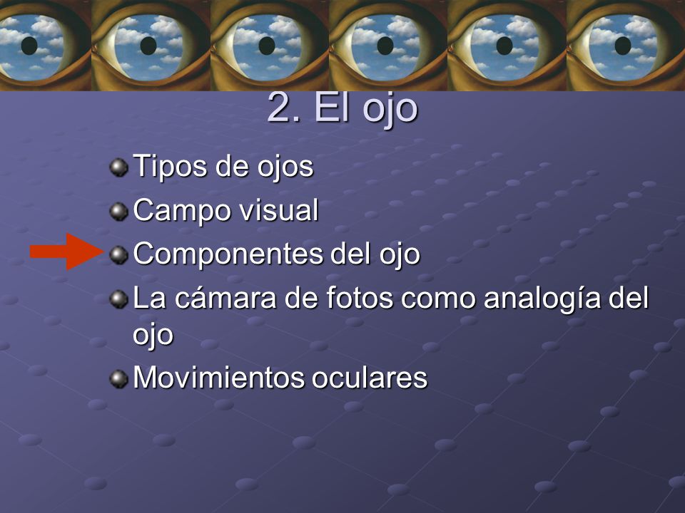 2. El ojo Tipos de ojos Campo visual Componentes del ojo