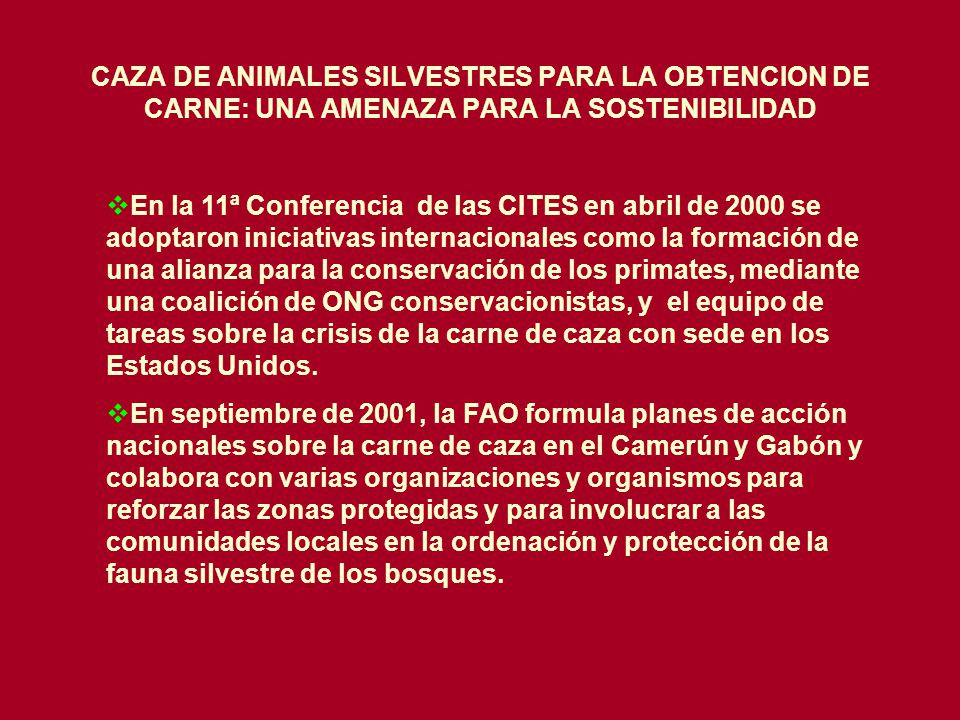 CAZA DE ANIMALES SILVESTRES PARA LA OBTENCION DE CARNE: UNA AMENAZA PARA LA SOSTENIBILIDAD