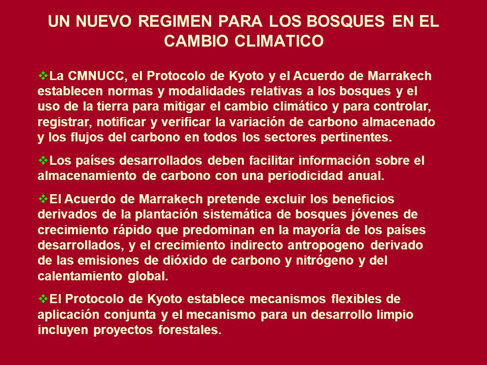 UN NUEVO REGIMEN PARA LOS BOSQUES EN EL CAMBIO CLIMATICO