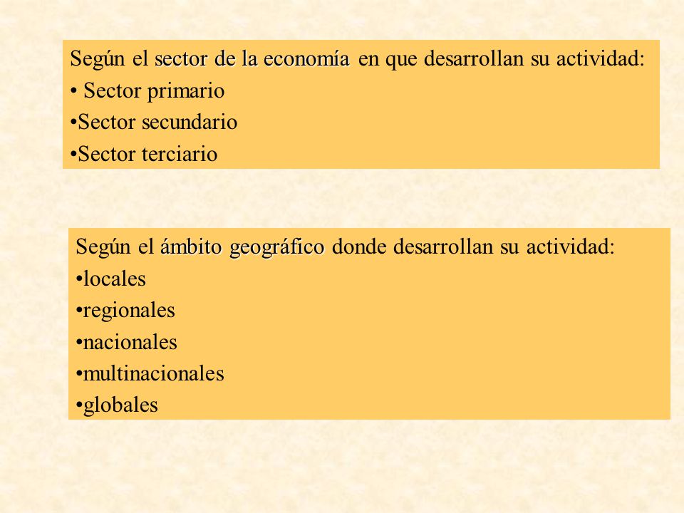 Según el sector de la economía en que desarrollan su actividad: