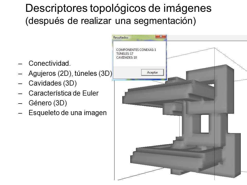 Descriptores topológicos de imágenes (después de realizar una segmentación)