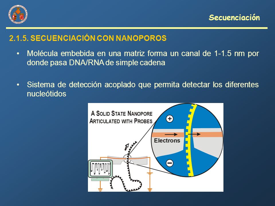 Secuenciación SECUENCIACIÓN CON NANOPOROS. Molécula embebida en una matriz forma un canal de nm por donde pasa DNA/RNA de simple cadena.