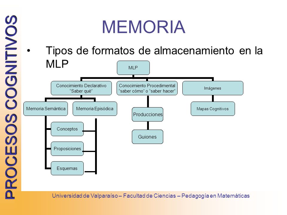 MEMORIA Tipos de formatos de almacenamiento en la MLP