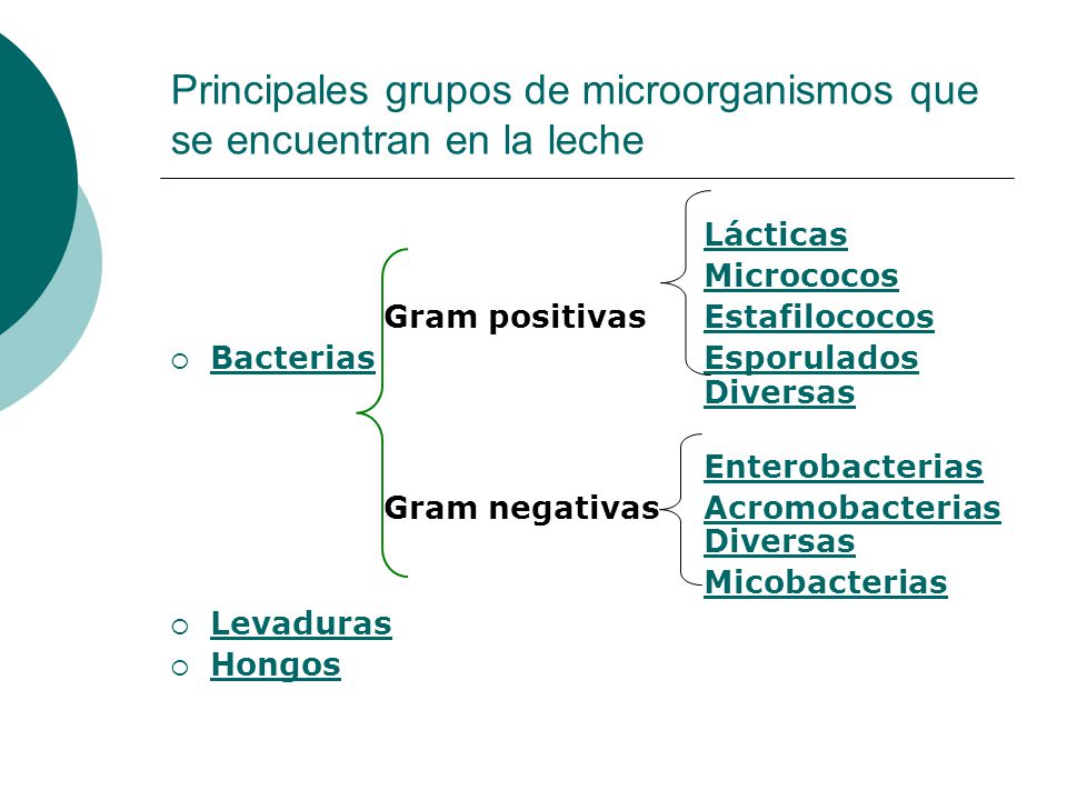 Principales grupos de microorganismos que se encuentran en la leche