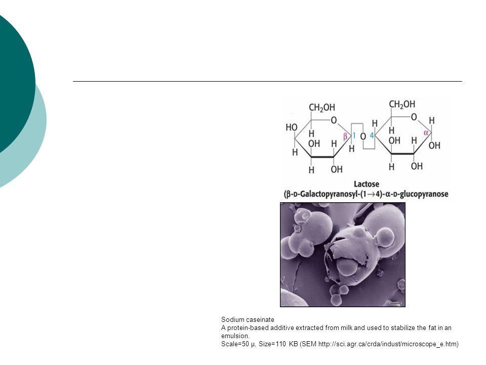 Sodium caseinate A protein-based additive extracted from milk and used to stabilize the fat in an emulsion.
