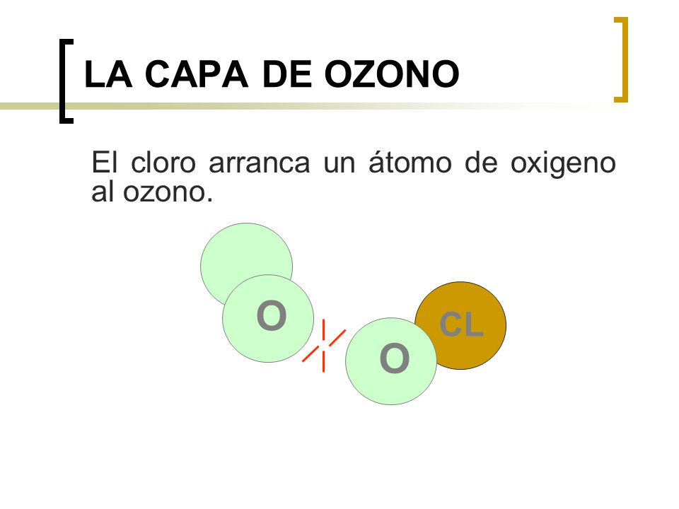 LA CAPA DE OZONO El cloro arranca un átomo de oxigeno al ozono. CL O O