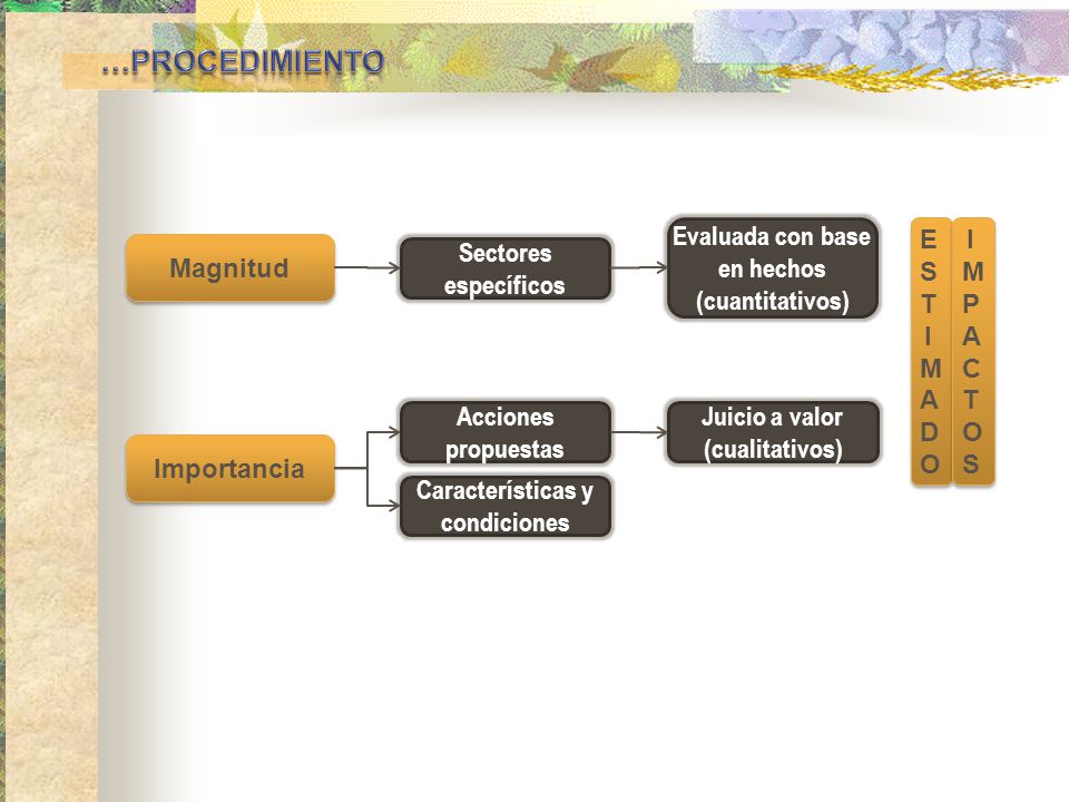 …PROCEDIMIENTO Evaluada con base en hechos (cuantitativos) E S T I M A