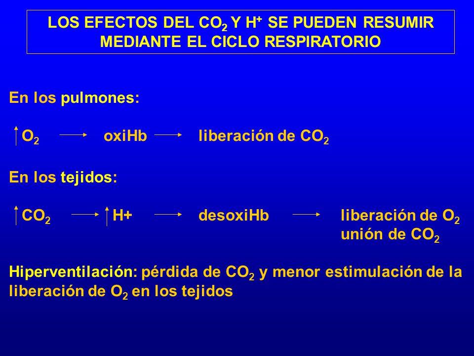 LOS EFECTOS DEL CO2 Y H+ SE PUEDEN RESUMIR MEDIANTE EL CICLO RESPIRATORIO