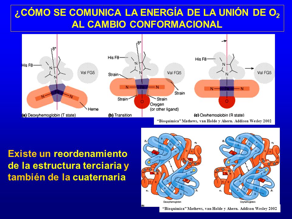 ¿CÓMO SE COMUNICA LA ENERGÍA DE LA UNIÓN DE O2