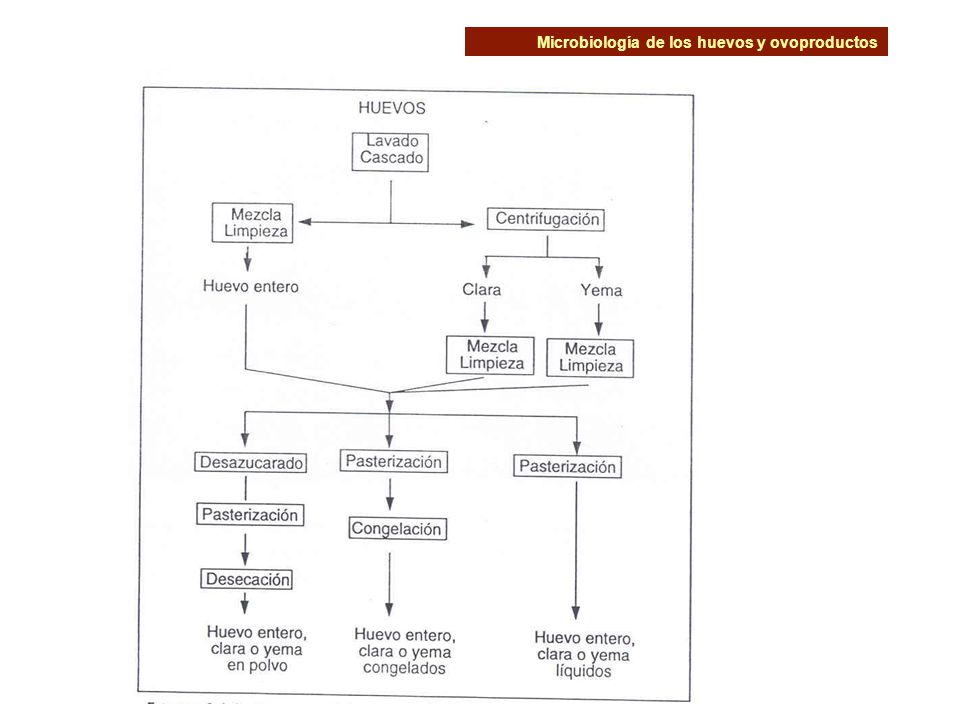 Microbiología de los huevos y ovoproductos