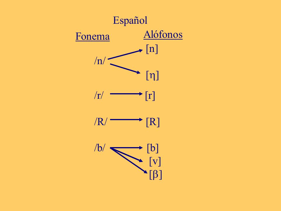 Español Alófonos. Fonema. [n] [] /n/ /r/ [r] /R/ [R] /b/ [b]