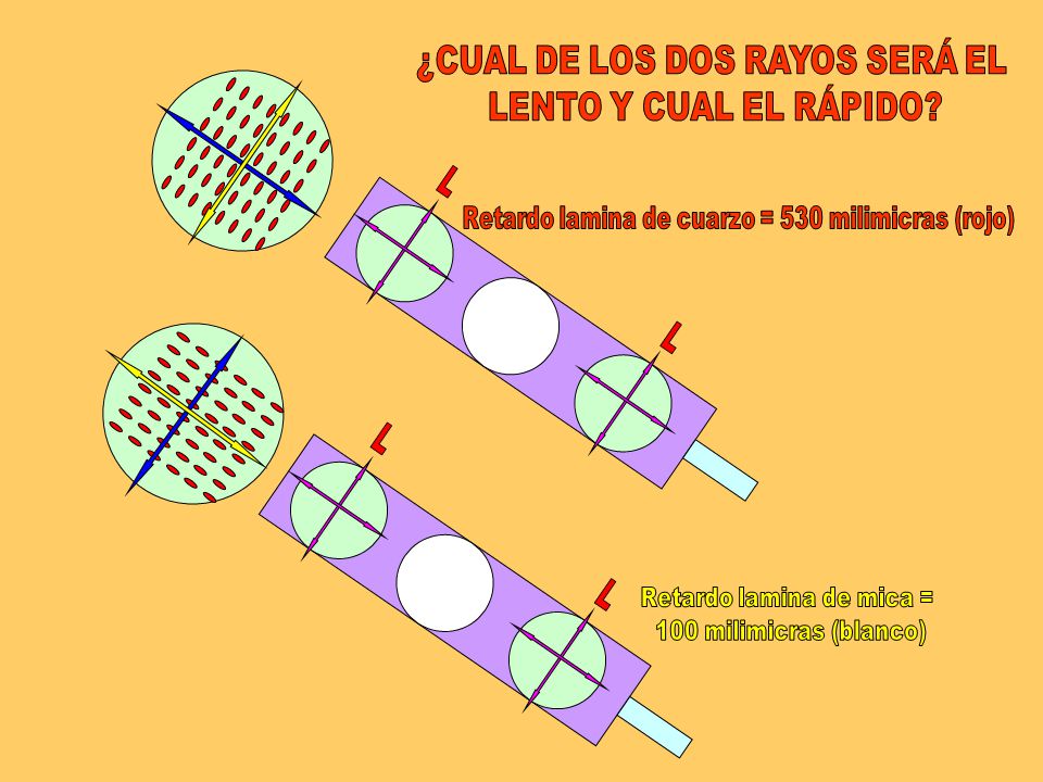 ¿CUAL DE LOS DOS RAYOS SERÁ EL LENTO Y CUAL EL RÁPIDO