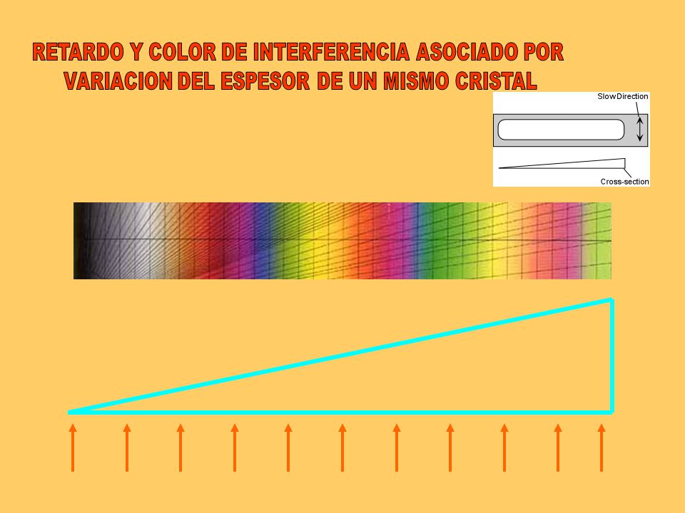 RETARDO Y COLOR DE INTERFERENCIA ASOCIADO POR
