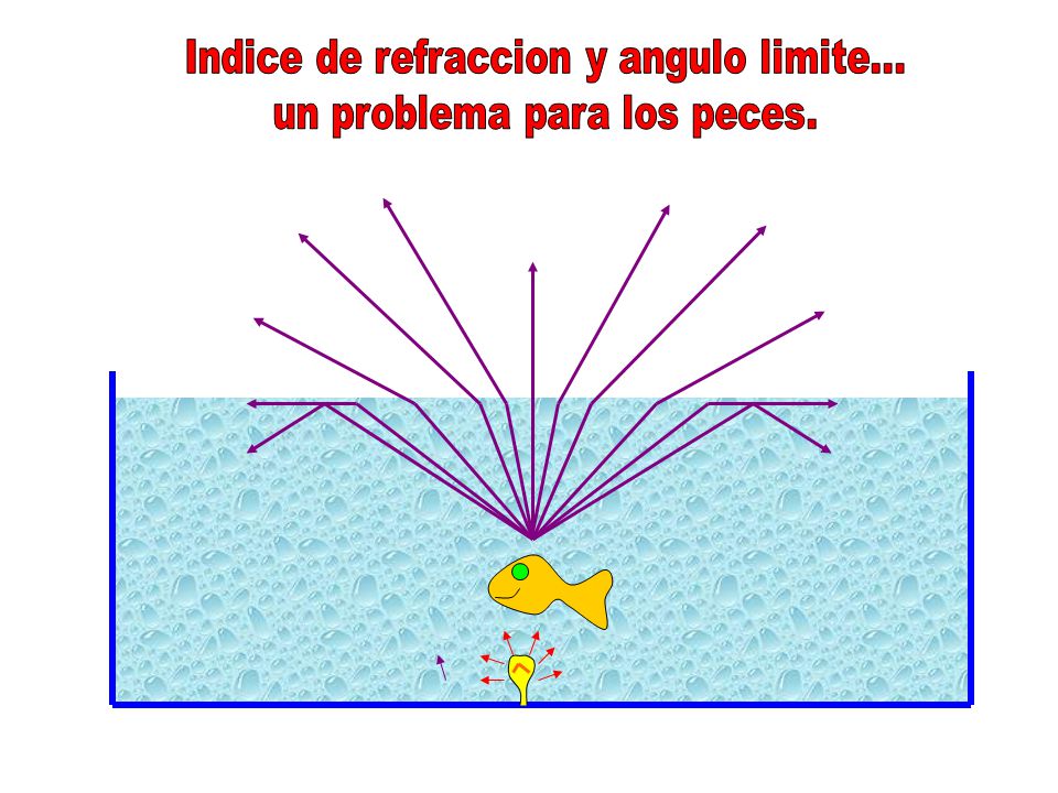 Indice de refraccion y angulo limite... un problema para los peces.