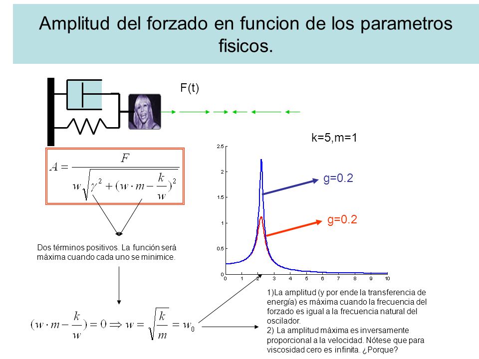 Amplitud del forzado en funcion de los parametros fisicos.