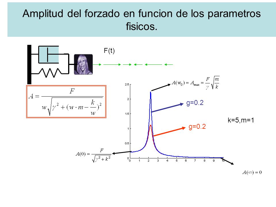 Amplitud del forzado en funcion de los parametros fisicos.