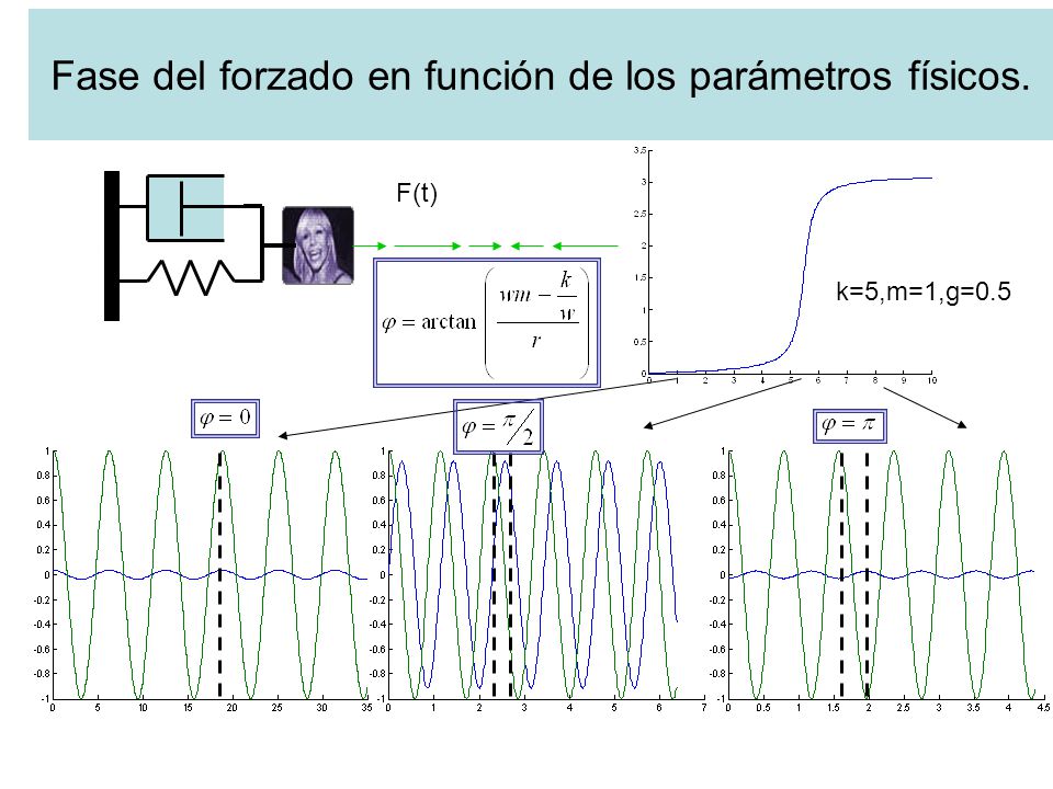 Fase del forzado en función de los parámetros físicos.
