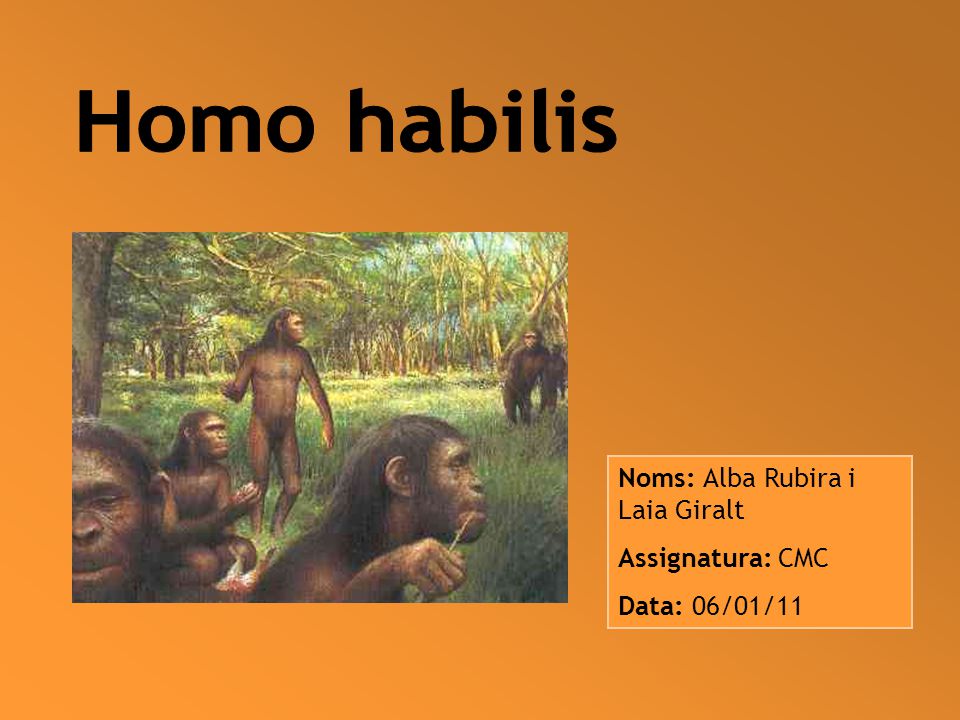 Homo habilis Noms: Alba Rubira i Laia Giralt Assignatura: CMC