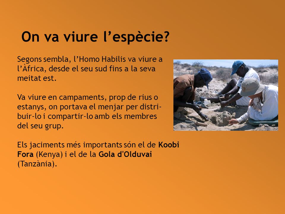 On va viure l’espècie Segons sembla, l’Homo Habilis va viure a l’Àfrica, desde el seu sud fins a la seva.