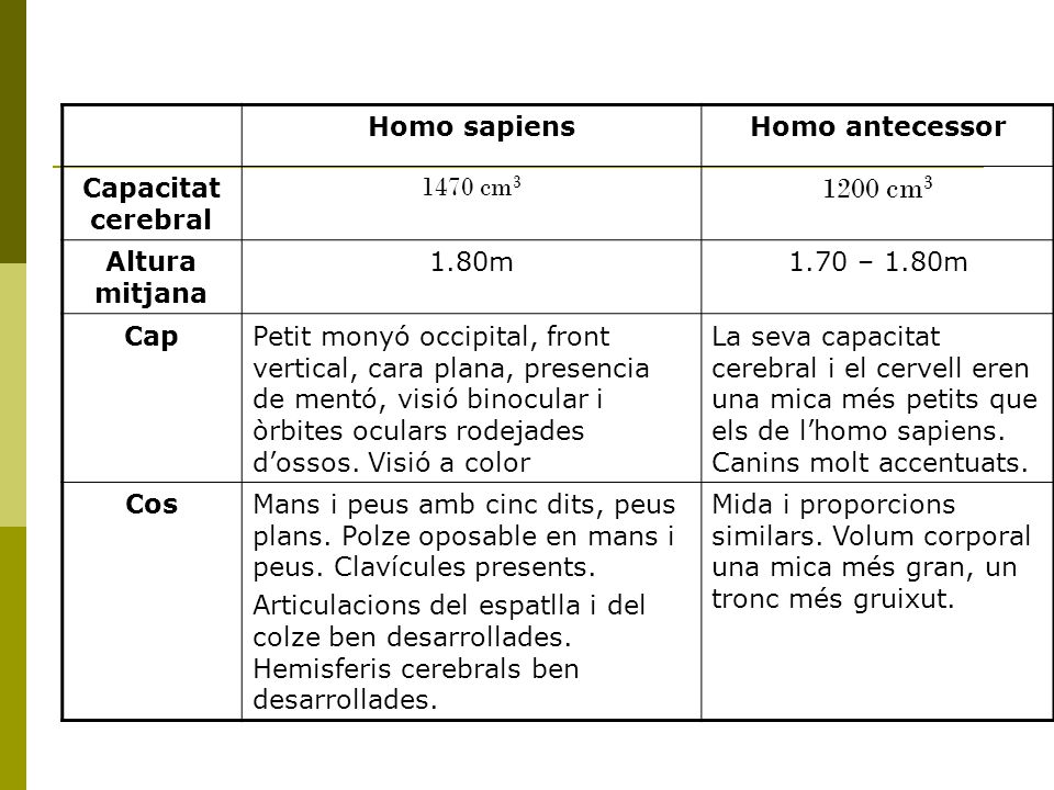 1200 cm3 Homo sapiens Homo antecessor Capacitat cerebral 1470 cm3