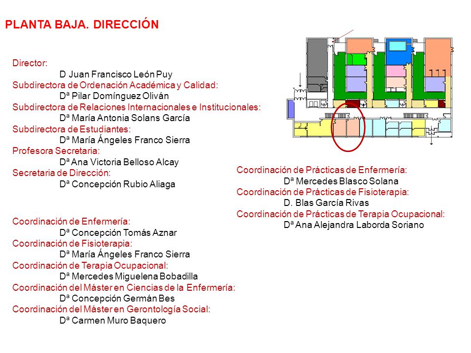 PLANTA BAJA. DIRECCIÓN Director: D Juan Francisco León Puy