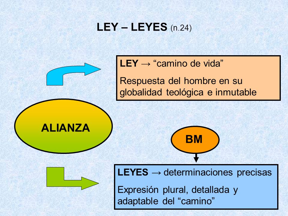 LEY – LEYES (n.24) ALIANZA BM LEY → camino de vida