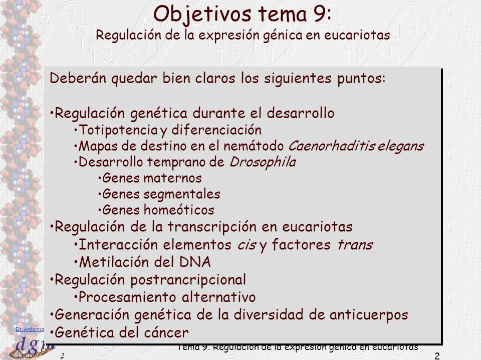 Objetivos tema 9: Deberán quedar bien claros los siguientes puntos: