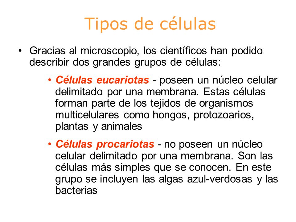 Tipos de células Gracias al microscopio, los científicos han podido describir dos grandes grupos de células: