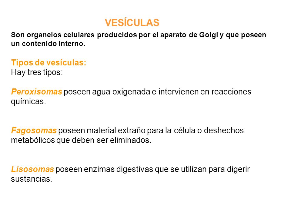 VESÍCULAS Tipos de vesículas: Hay tres tipos: