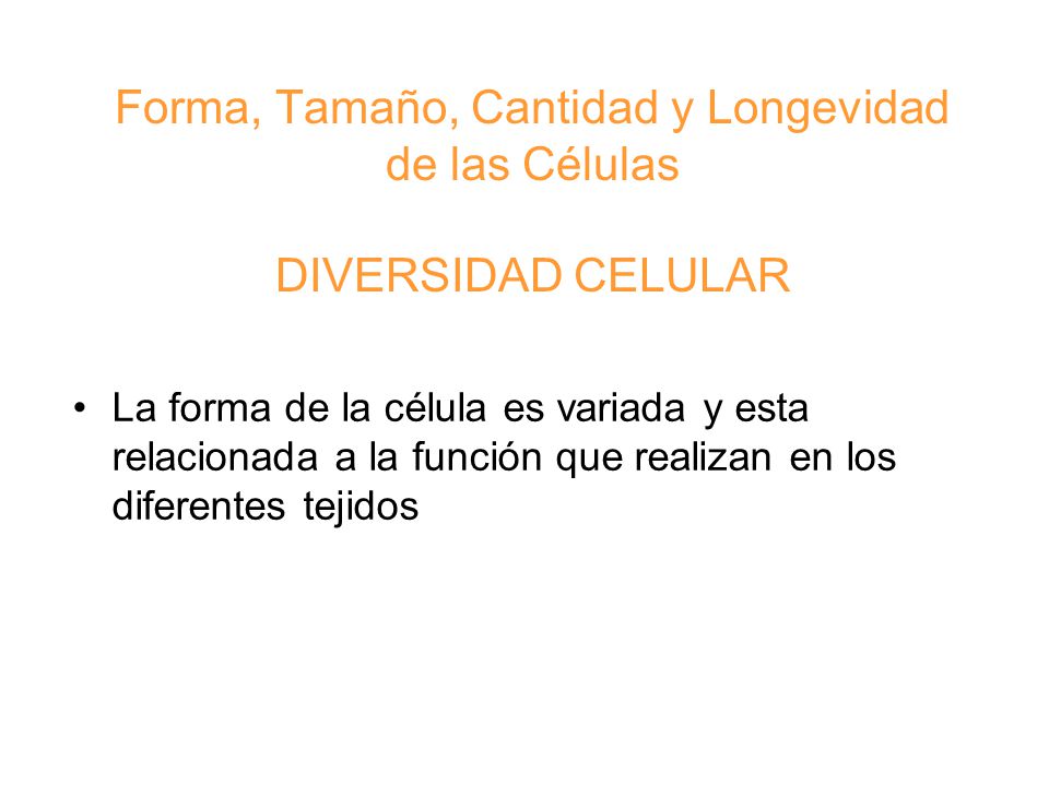 Forma, Tamaño, Cantidad y Longevidad de las Células DIVERSIDAD CELULAR