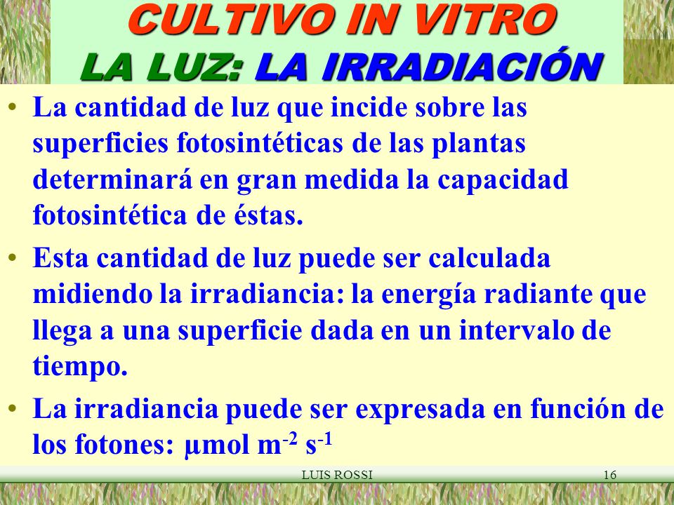 CULTIVO IN VITRO LA LUZ: LA IRRADIACIÓN