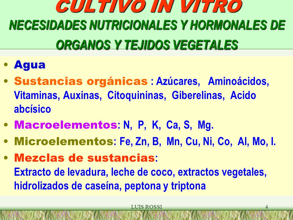 CULTIVO IN VITRO NECESIDADES NUTRICIONALES Y HORMONALES DE ORGANOS Y TEJIDOS VEGETALES