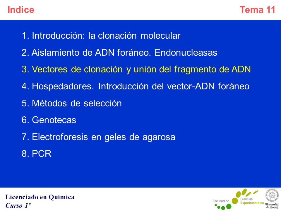 Indice 1. Introducción: la clonación molecular. 2. Aislamiento de ADN foráneo. Endonucleasas. 3. Vectores de clonación y unión del fragmento de ADN.
