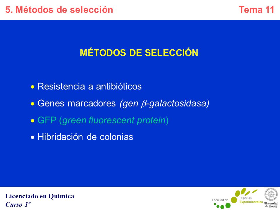 5. Métodos de selección MÉTODOS DE SELECCIÓN. Resistencia a antibióticos. Genes marcadores (gen b-galactosidasa)