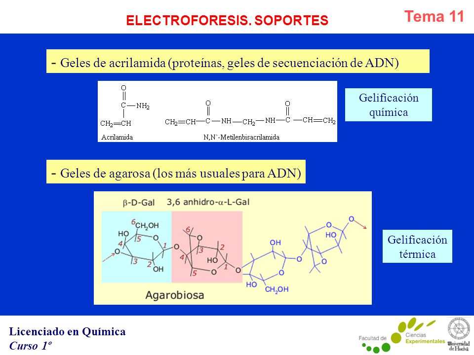 - Geles de acrilamida (proteínas, geles de secuenciación de ADN)