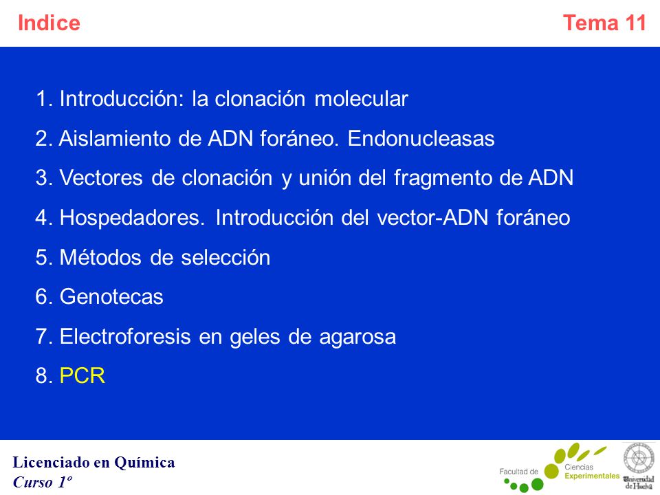 Indice 1. Introducción: la clonación molecular. 2. Aislamiento de ADN foráneo. Endonucleasas. 3. Vectores de clonación y unión del fragmento de ADN.
